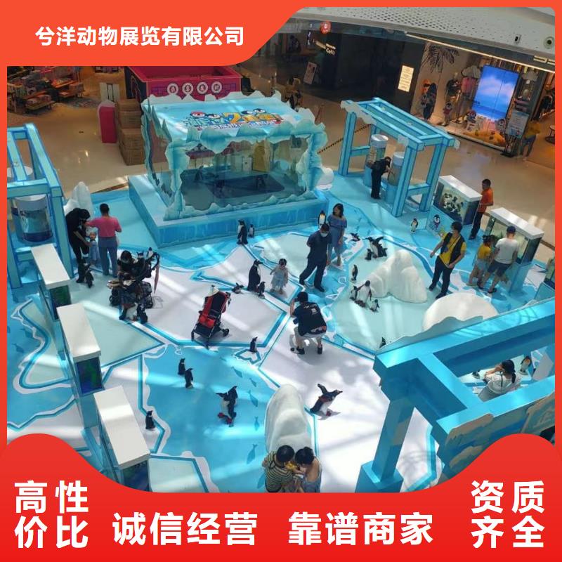 海獅表演出租