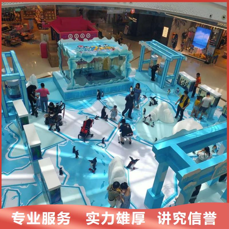 海洋主题动物表演动物杂技表演齐全