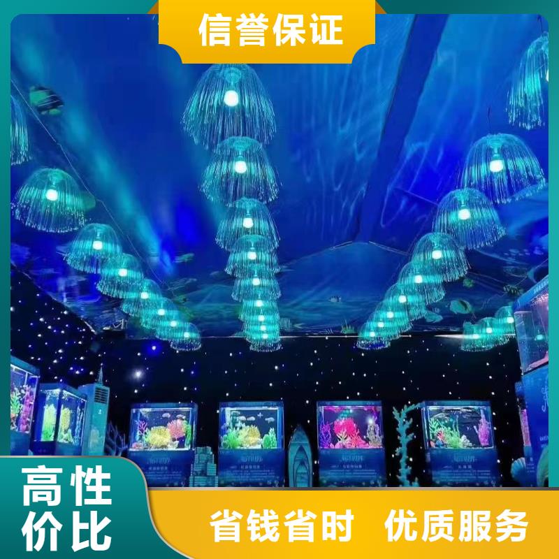 海洋主题动物表演海狮表演出租一站搞定