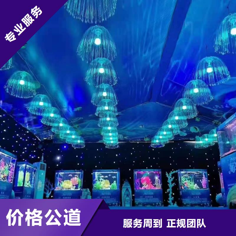 企鵝出租豐富多彩