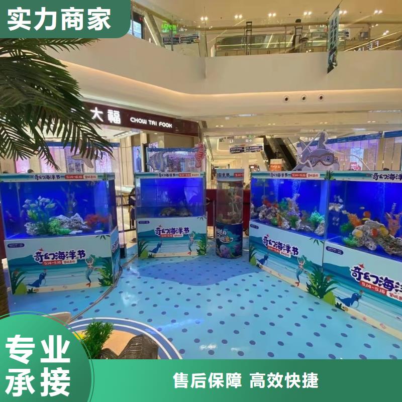 海洋主题动物表演杂耍演出长期合作