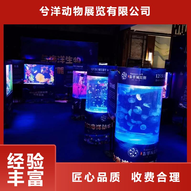 【海洋主題動物表演】【企鵝表演出租】專業團隊