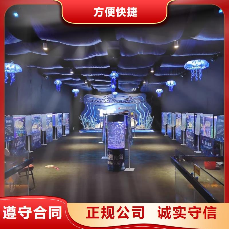 海洋主题动物表演【海狮表演】知名公司