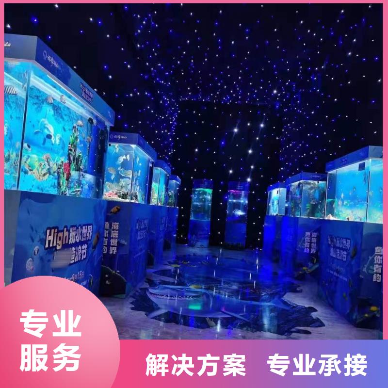 海洋主题动物表演,水族海洋展高品质