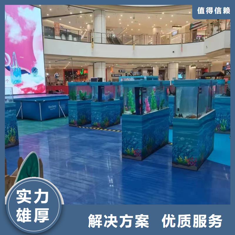 海洋主題動物表演 動物雜技表演租賃遵守合同