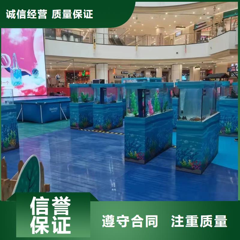 海洋主题动物表演,海狮演出欢迎合作