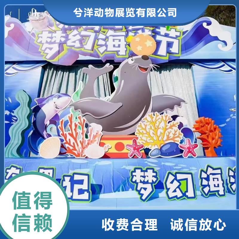 海洋主題動物表演 動物表演多年經驗