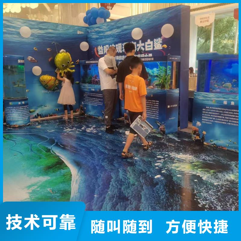 海洋主题动物表演,羊驼出租公司