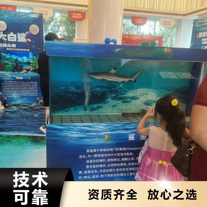 美人魚表演出租