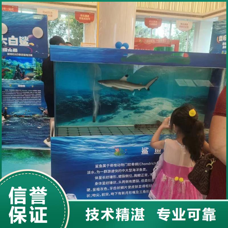 海獅表演出租周邊