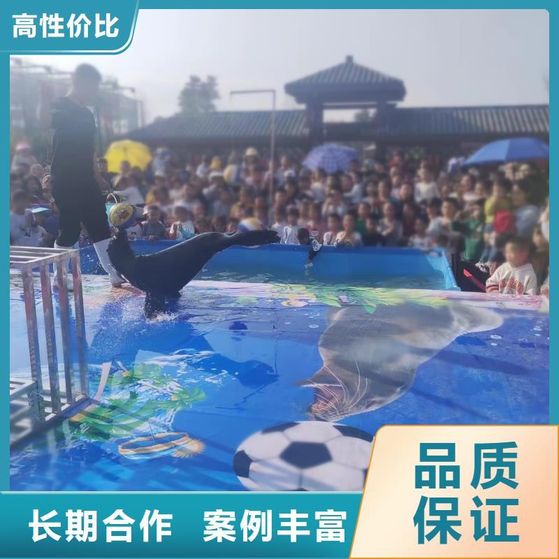 海洋主题动物表演 驯兽表演快捷