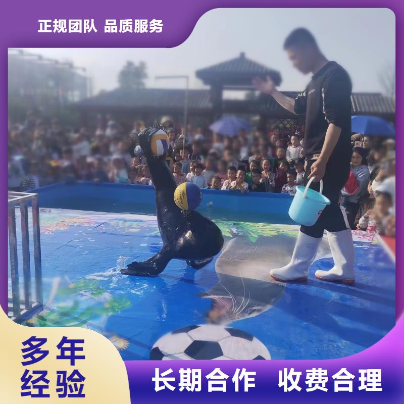 海洋主题动物表演_小马戏表演出租专业