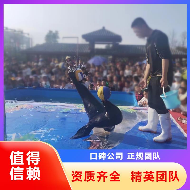 海獅表演電話