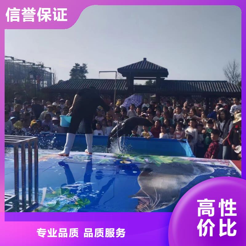 海獅表演出租