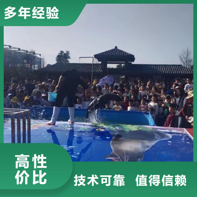 企鵝出租豐富多彩