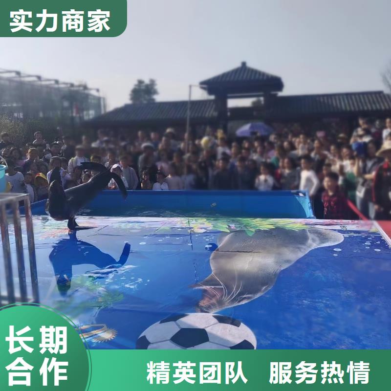 海洋主题动物表演,水族海洋展高品质