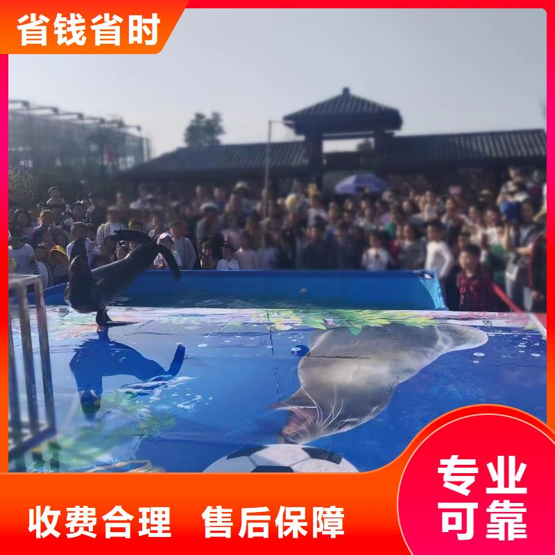 海洋主題動物表演吉祥百鳥展齊全