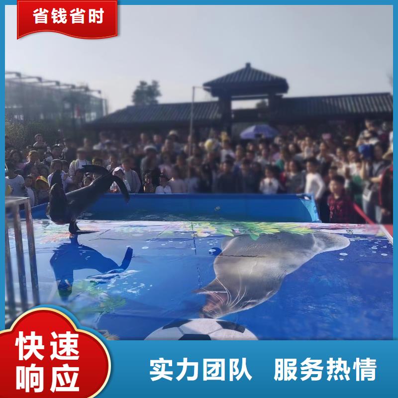 海洋展出租海洋動物