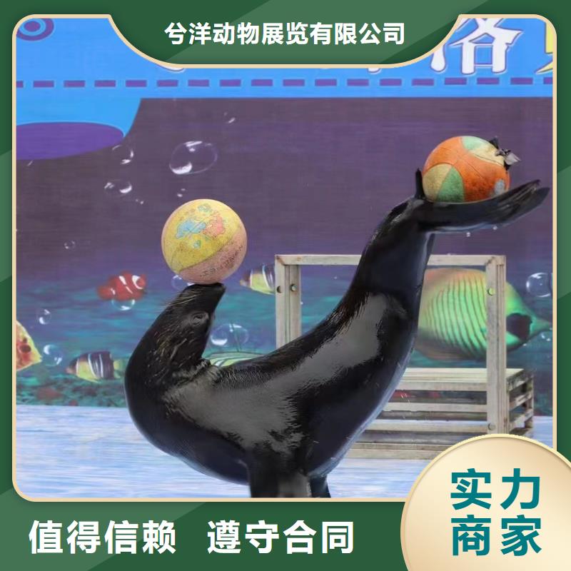 夢幻美人魚表演出租主題展覽