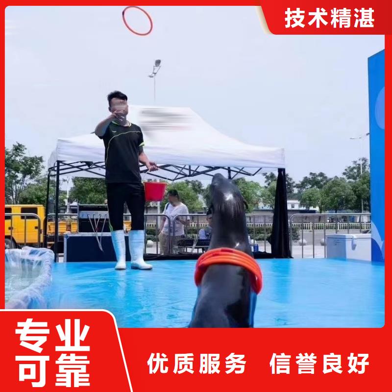 奇幻美人魚表演租賃豐富多彩