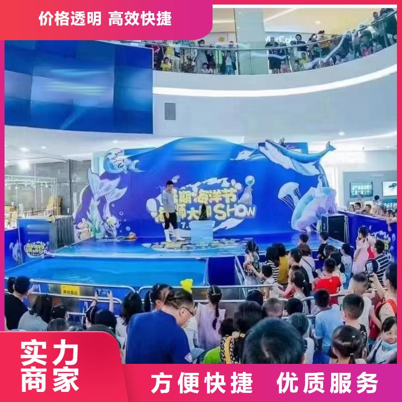 海洋主題動物表演,美人魚表演質量保證