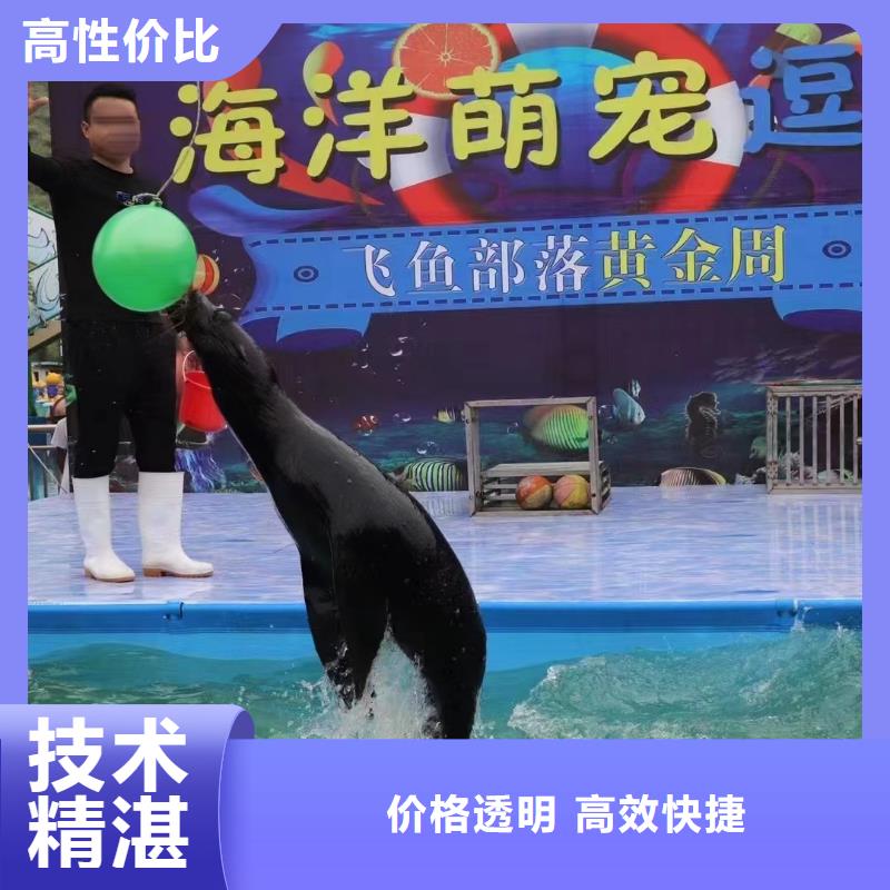 海洋主题动物表演 驯兽表演公司