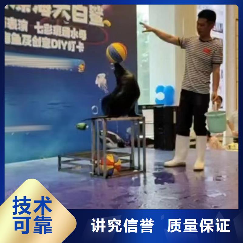 海洋主題動物表演鸚鵡表演租賃服務熱情