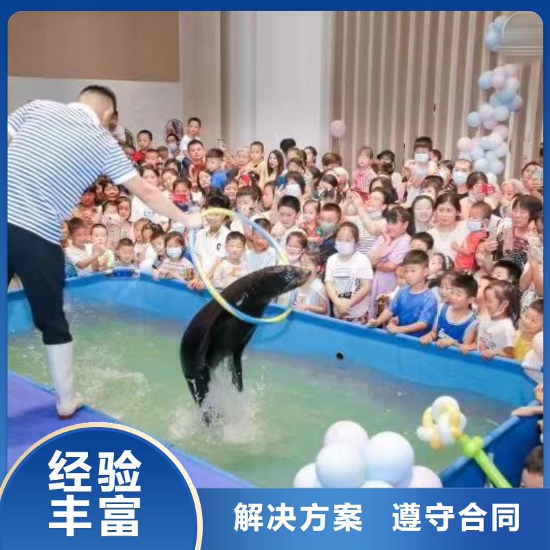 海洋主題動(dòng)物表演【【企鵝表演出租】】品質(zhì)優(yōu)