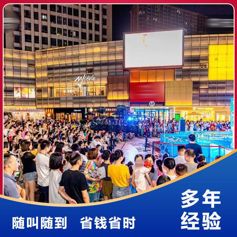 企鵝出租豐富多彩