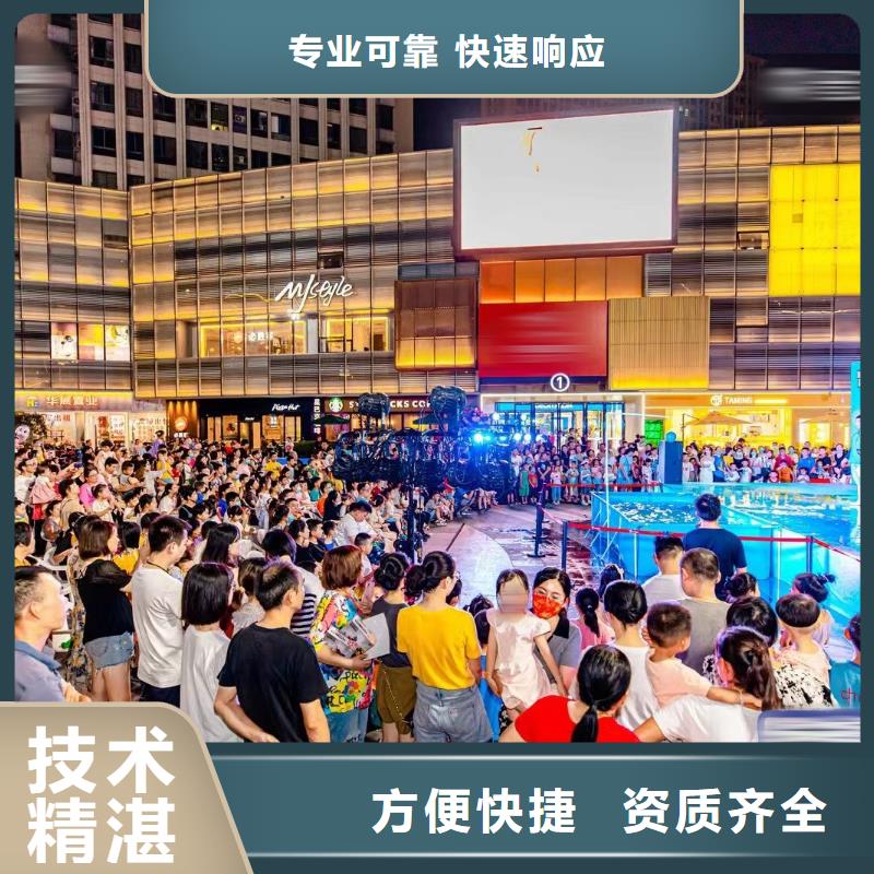 海洋主题动物表演海狮表演出租资质齐全