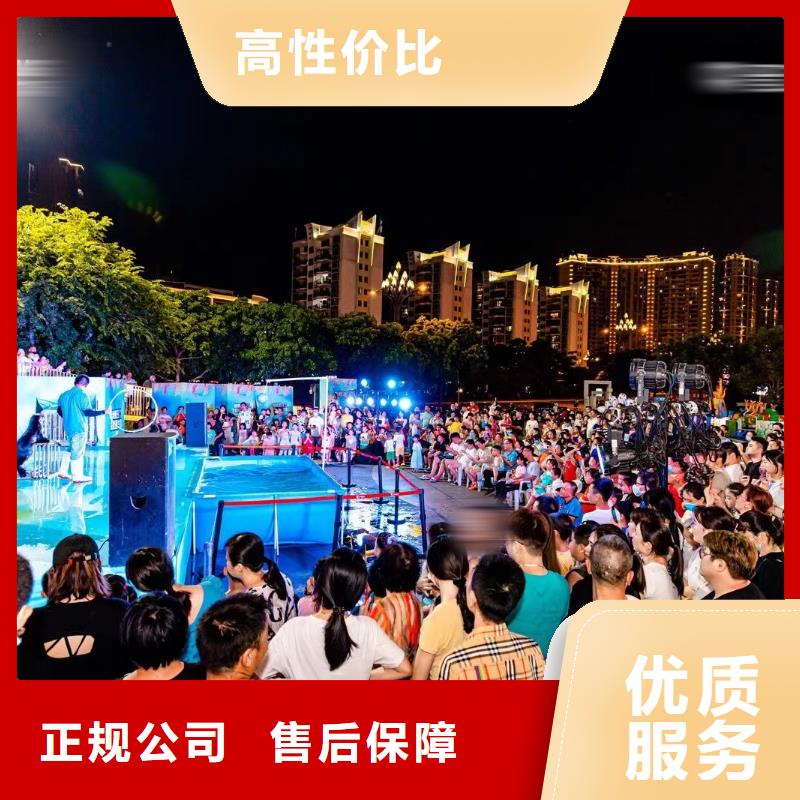 海洋主題動物表演企鵝租賃經驗豐富