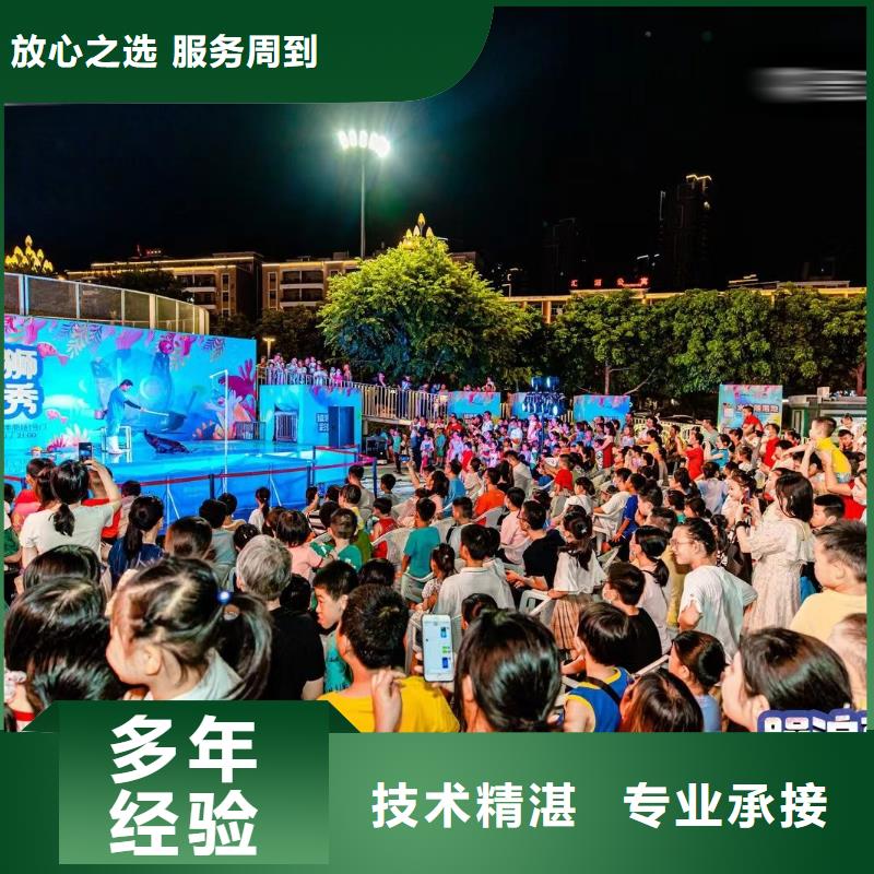 海洋主題動物表演 動物表演多年經驗