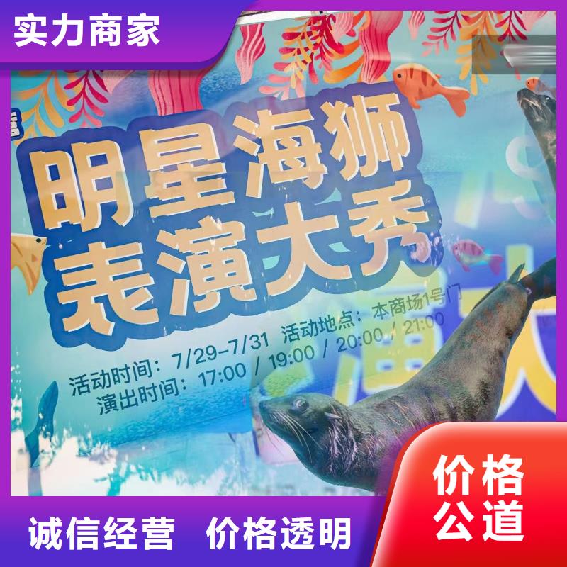 海洋主題動物表演出租表演鸚鵡專業承接