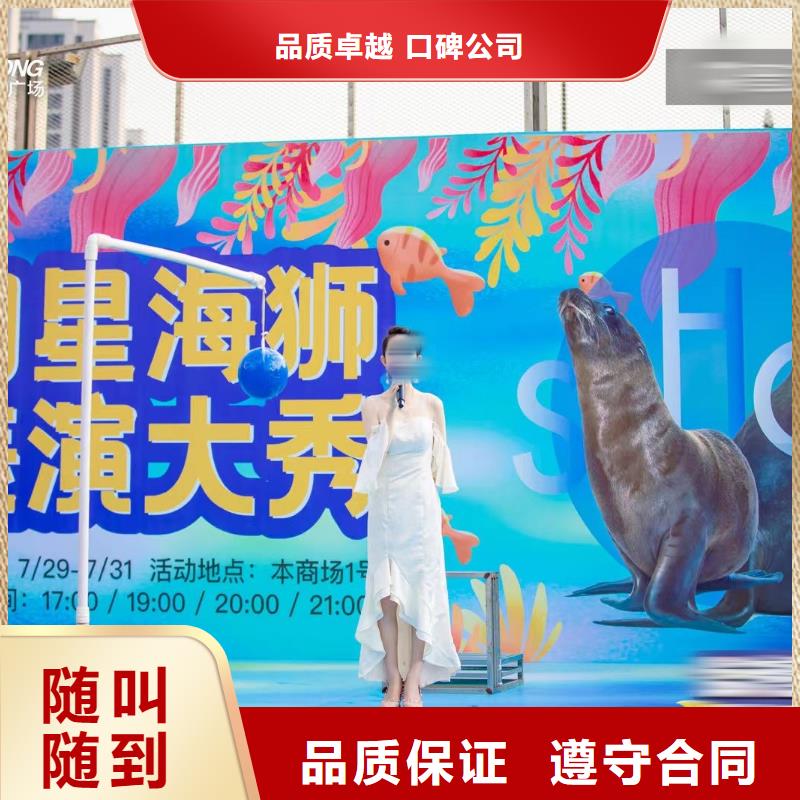 【海洋主題動物表演商場馬戲表演出租快速】