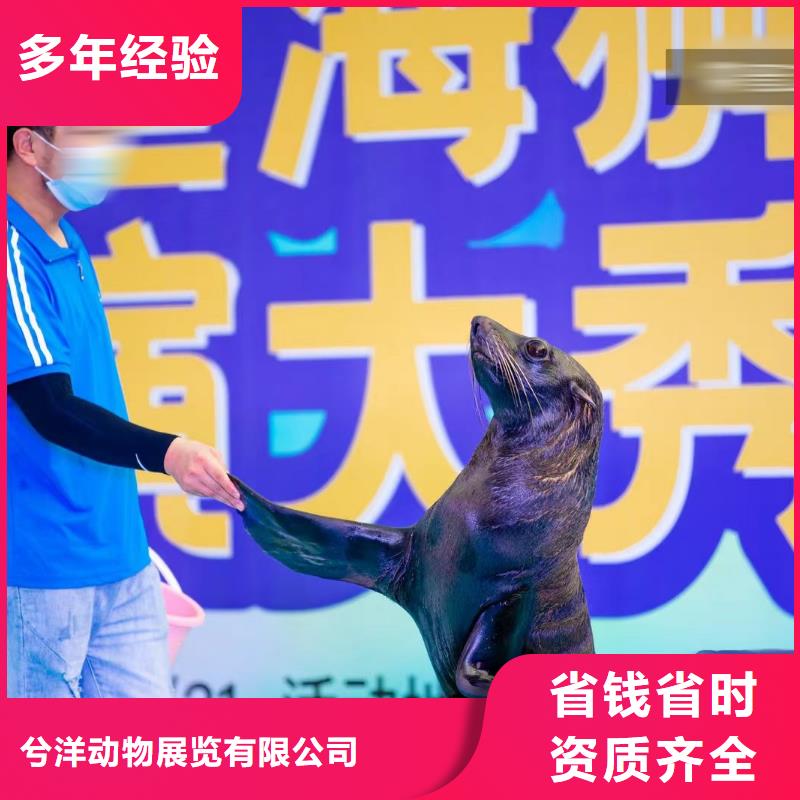 海洋展出租一手資源