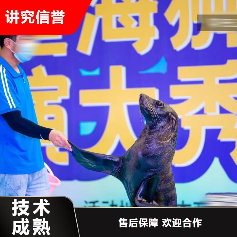 【海洋主題動物表演 鸚鵡表演出租價格透明】