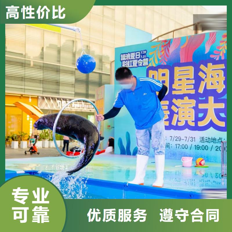 海洋主題動(dòng)物表演企鵝租賃精英團(tuán)隊(duì)