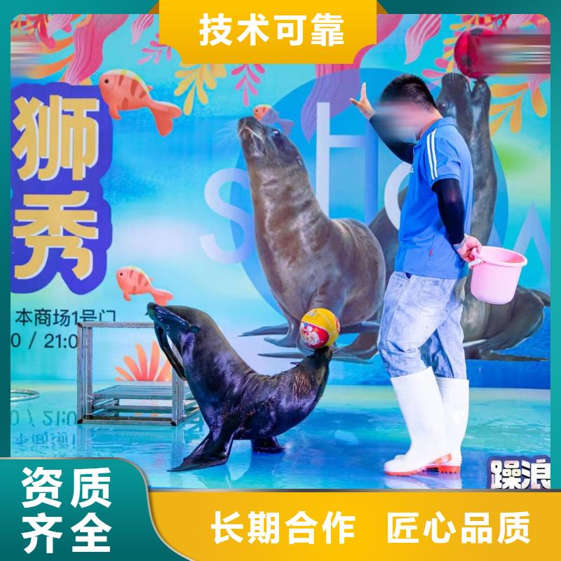 海洋生物展出租品质与价格同行