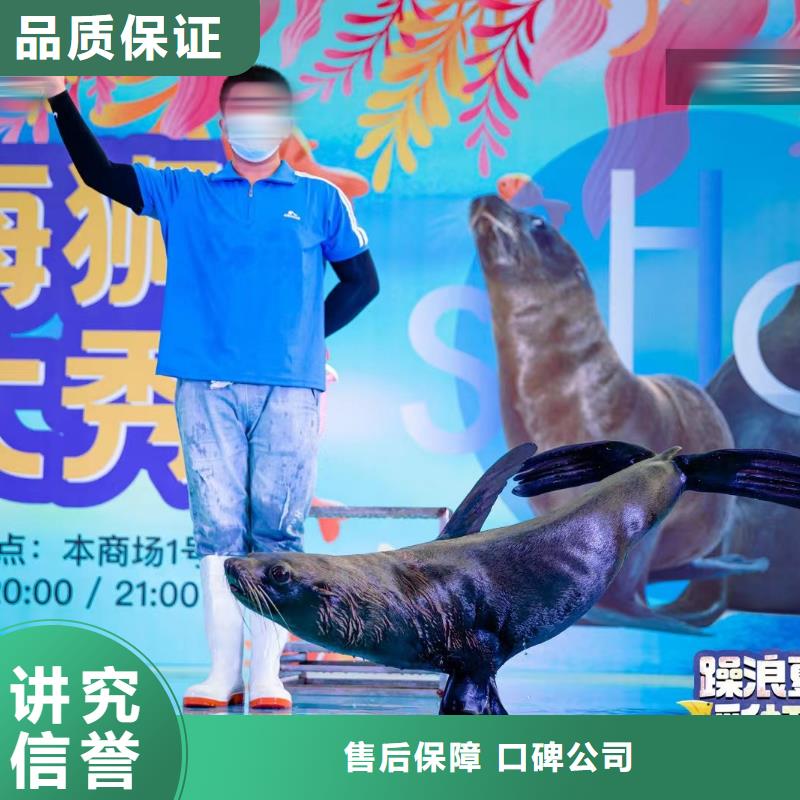 海洋主题动物表演吉祥百鸟展技术比较好