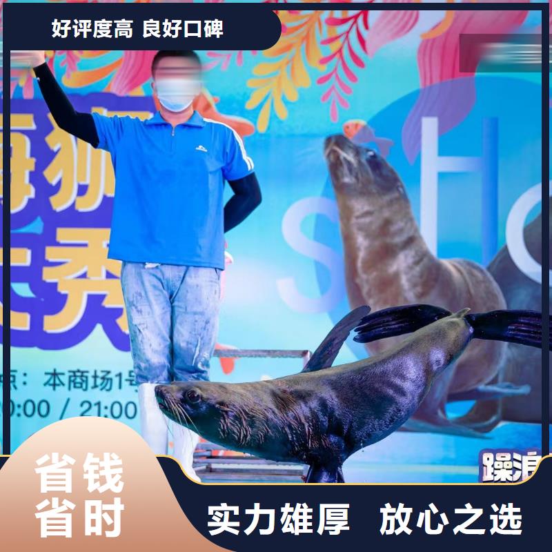 海洋主題動物表演 馴獸表演公司