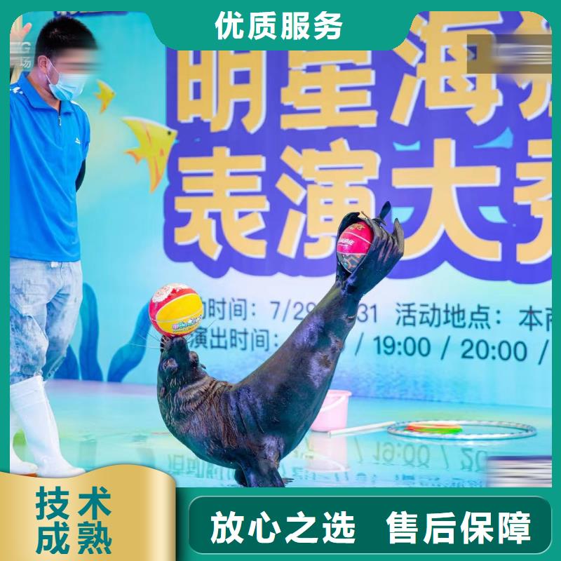 【海洋主題動物表演,海獅表演出租2025專業的團隊】