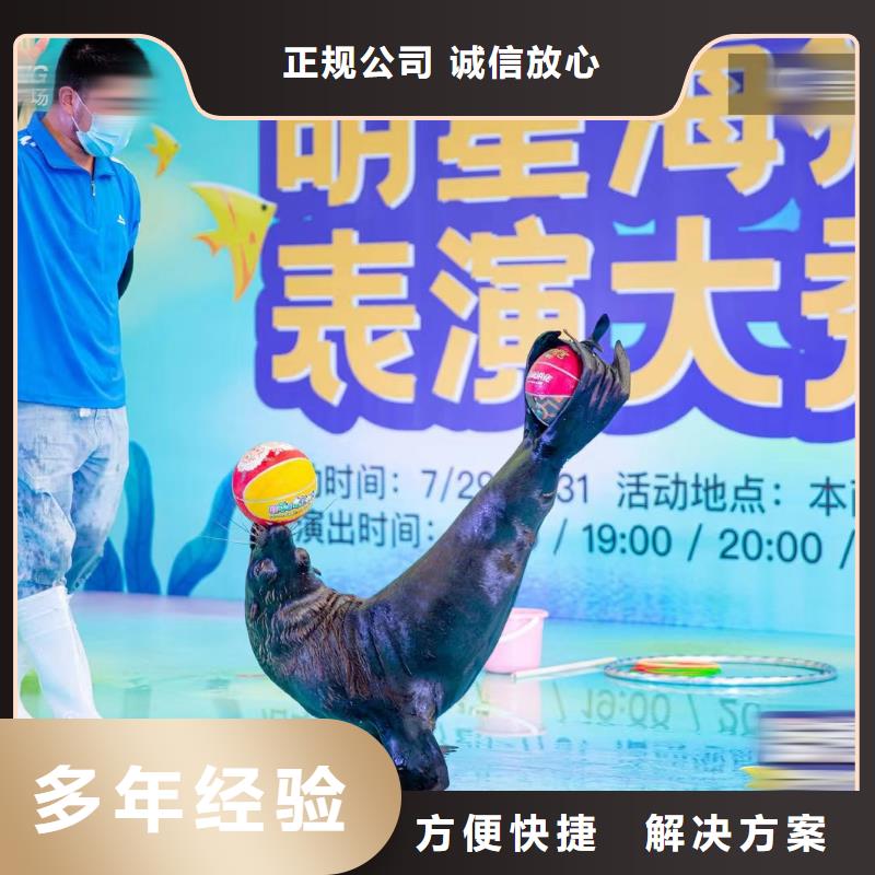 【海洋主題動物表演】-小馬戲表演出租明碼標價