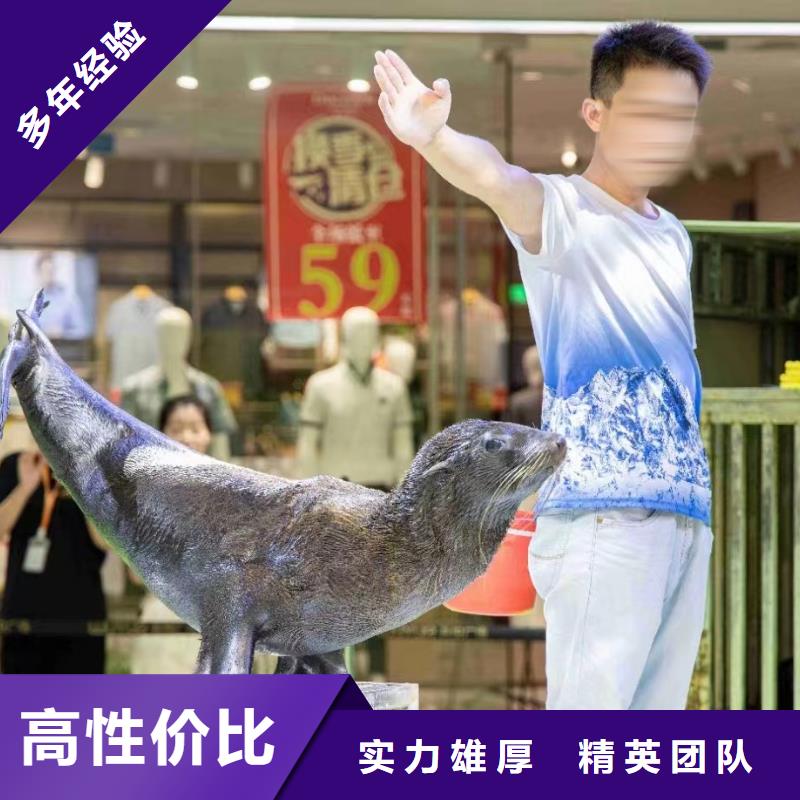 【海洋主題動物表演,海獅表演出租2025專業的團隊】