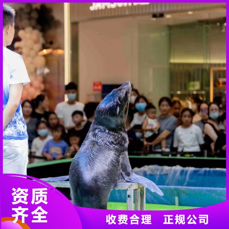 出租美人魚表演