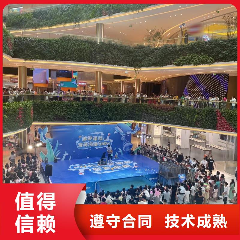 海狮表演出租视频-海狮表演出租-兮洋动物展览(保山市分公司)服务区域隆阳|昌宁|红河|西双版纳|怒江|昭通|普洱