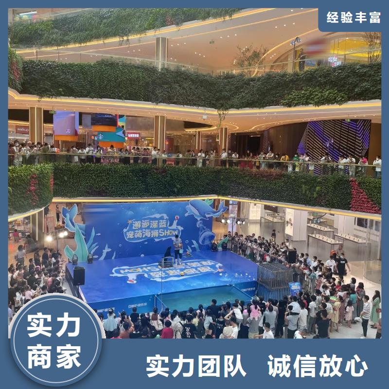 海洋主题动物表演死轮表演技术好
