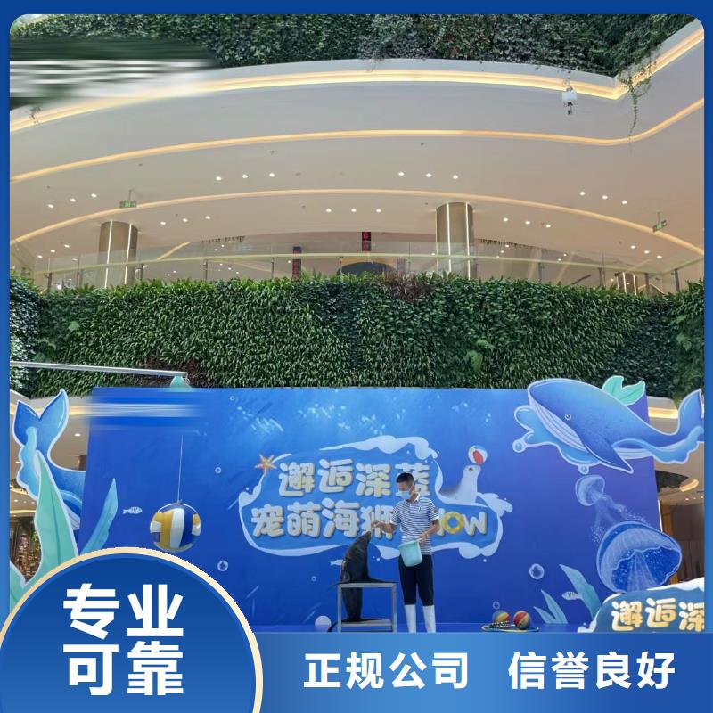 美人魚表演出租歡迎來廠考察