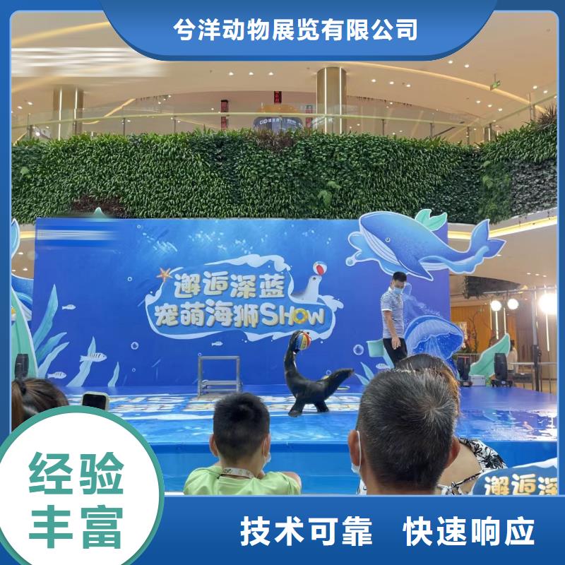 海洋主题动物表演动物杂技表演齐全