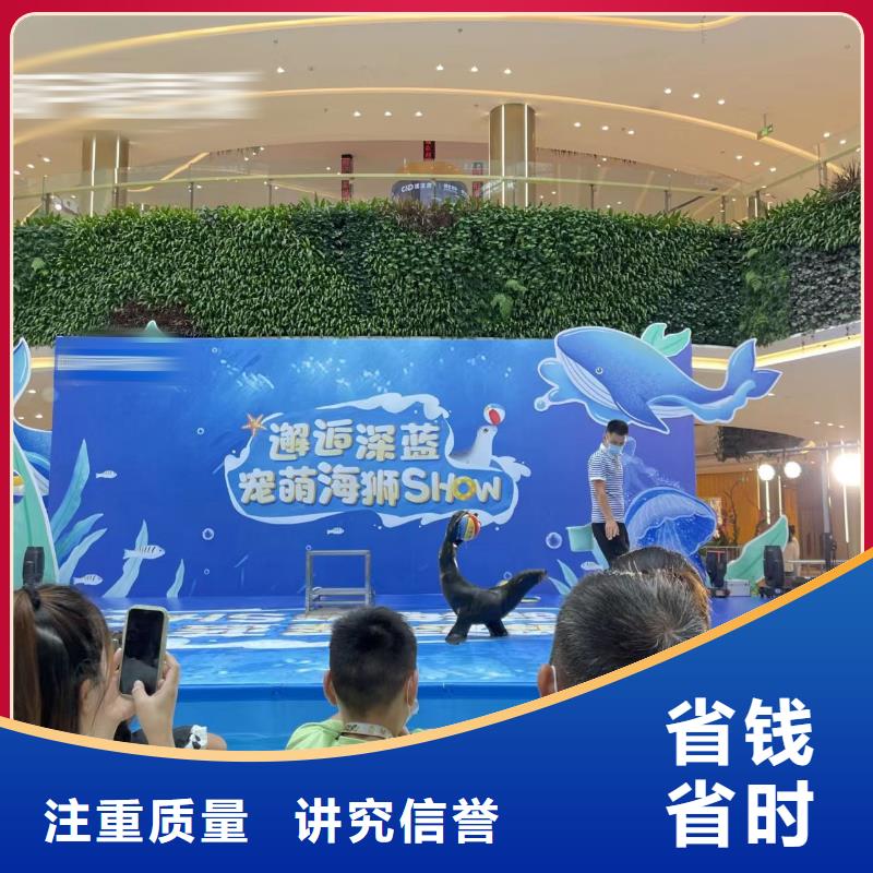 海洋主题动物表演动物展览秀2025专业的团队