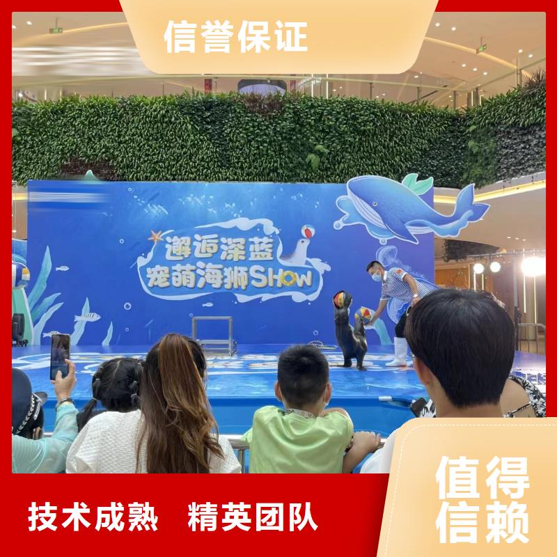 【海洋主題動物表演】觀賞性羊駝租賃案例豐富